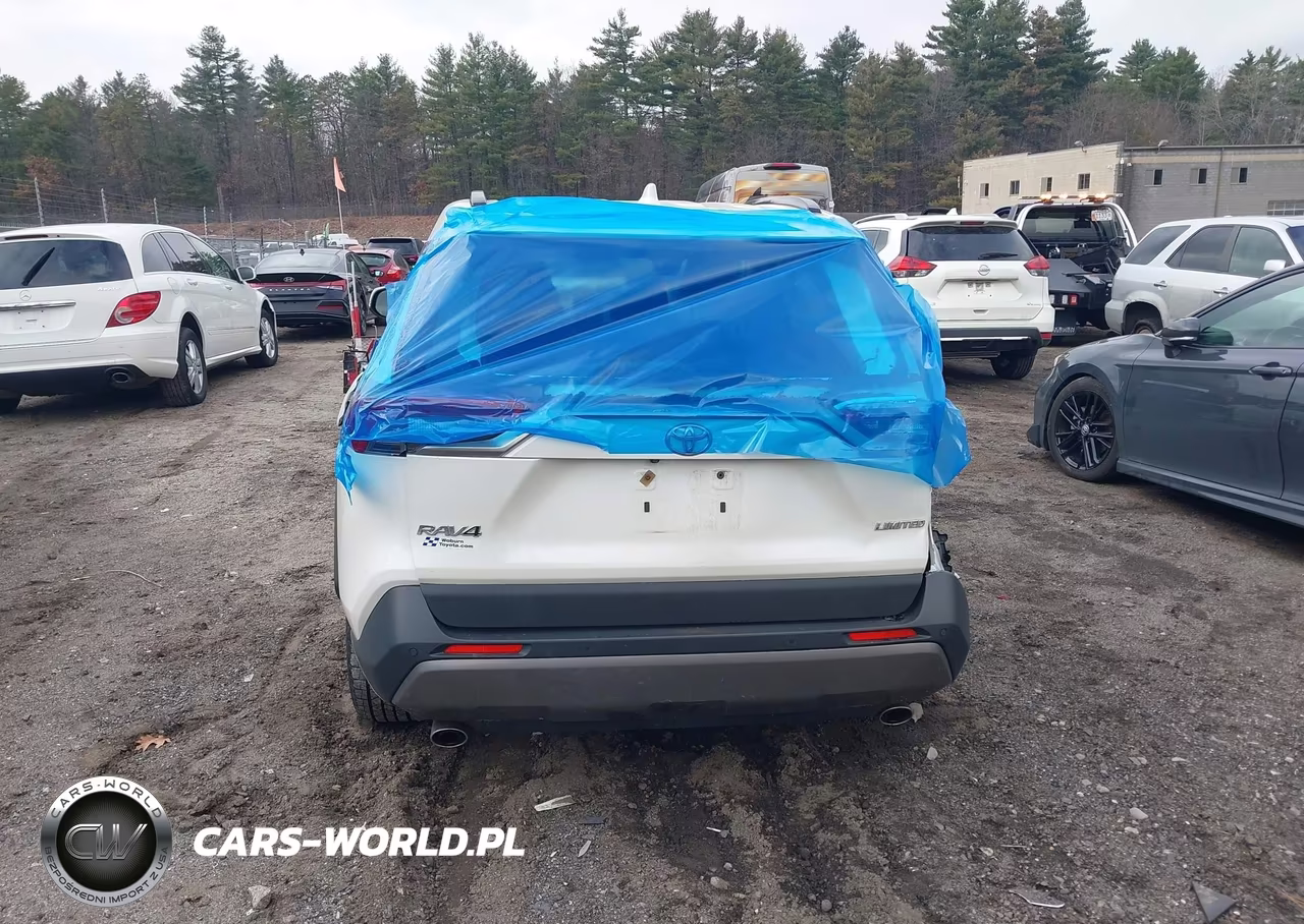 2019 Toyota Rav4 Limited VIN:JTMY1RFV0KD512991 - 16