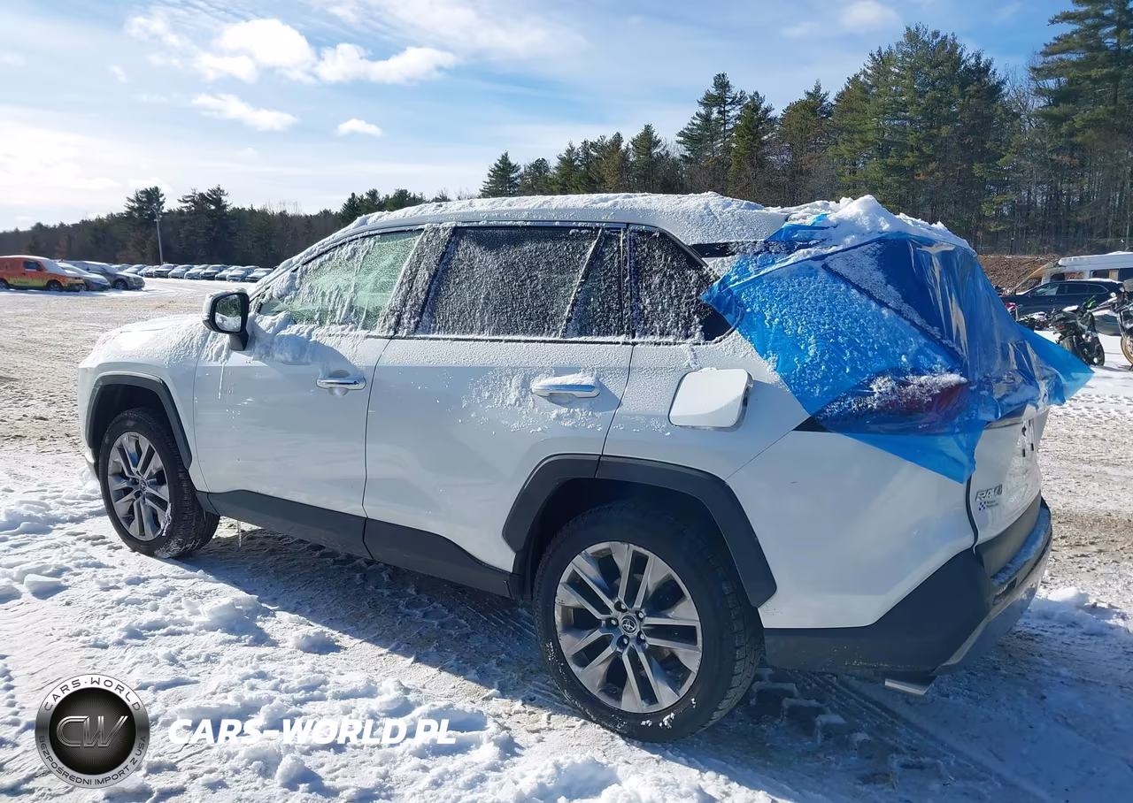 2019 Toyota Rav4 Limited VIN:JTMY1RFV0KD512991 - 3