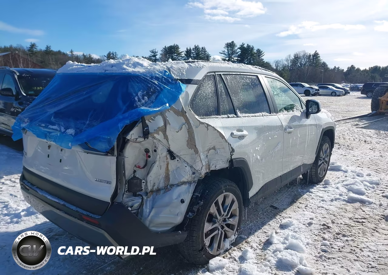 2019 Toyota Rav4 Limited VIN:JTMY1RFV0KD512991 - 4