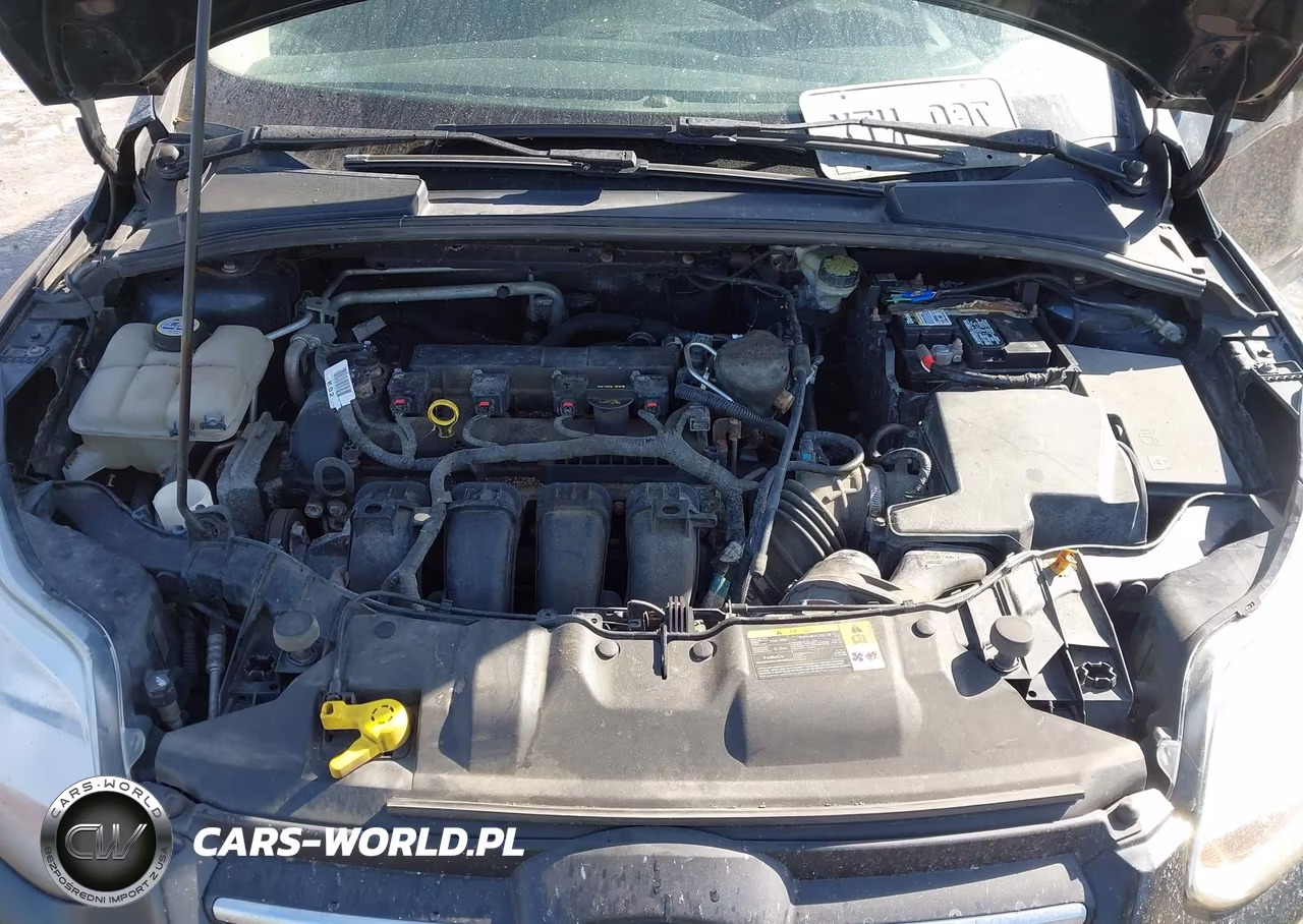 2013 Ford Focus Se VIN:1FADP3F27DL176206 - 10