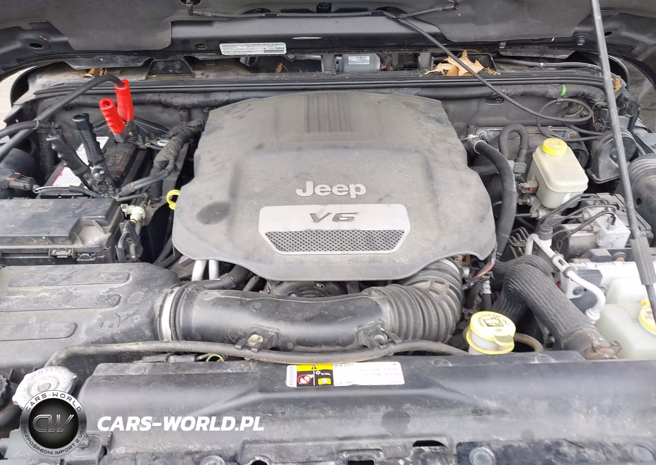 2014 Jeep Wrangler Unlimited Dragon Edition VIN:1C4HJWEG7EL165154 - 10