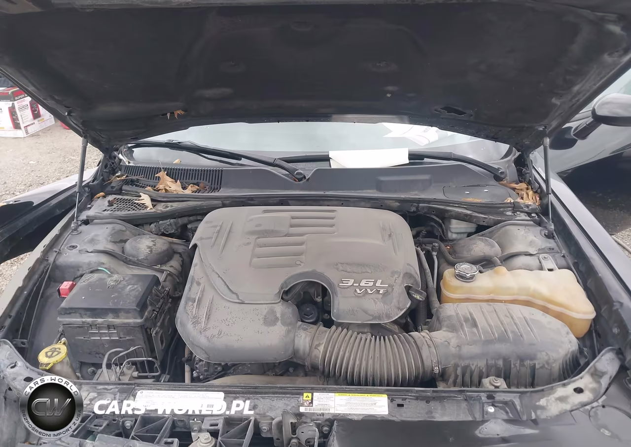 2013 Dodge Challenger Rallye Redline VIN:2C3CDYAG0DH629243 - 10