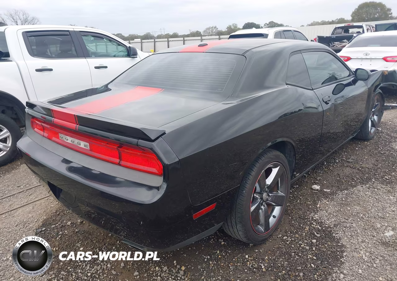 2013 Dodge Challenger Rallye Redline VIN:2C3CDYAG0DH629243 - 4