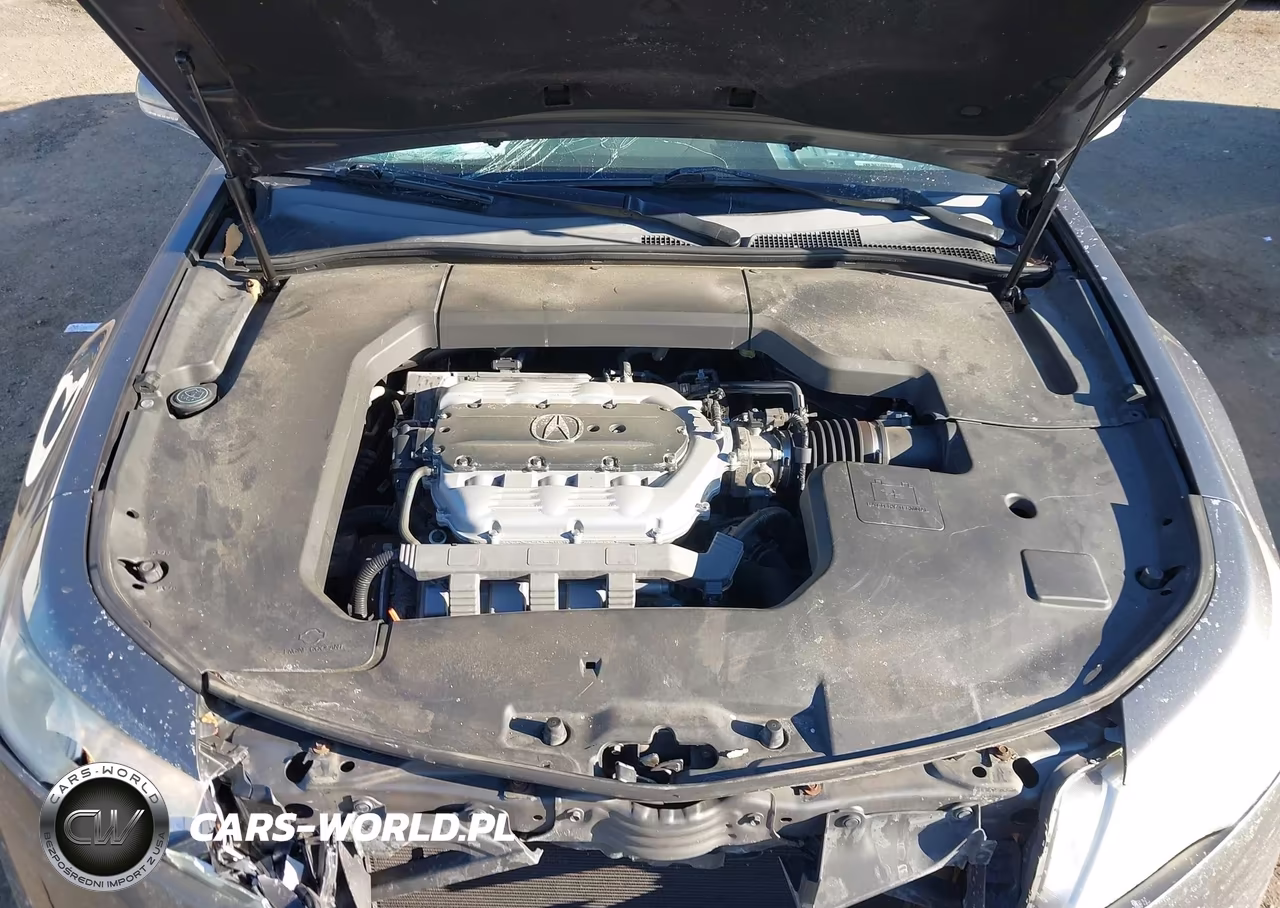2009 Acura Tl 3.5 VIN:19UUA86539A021742 - 10