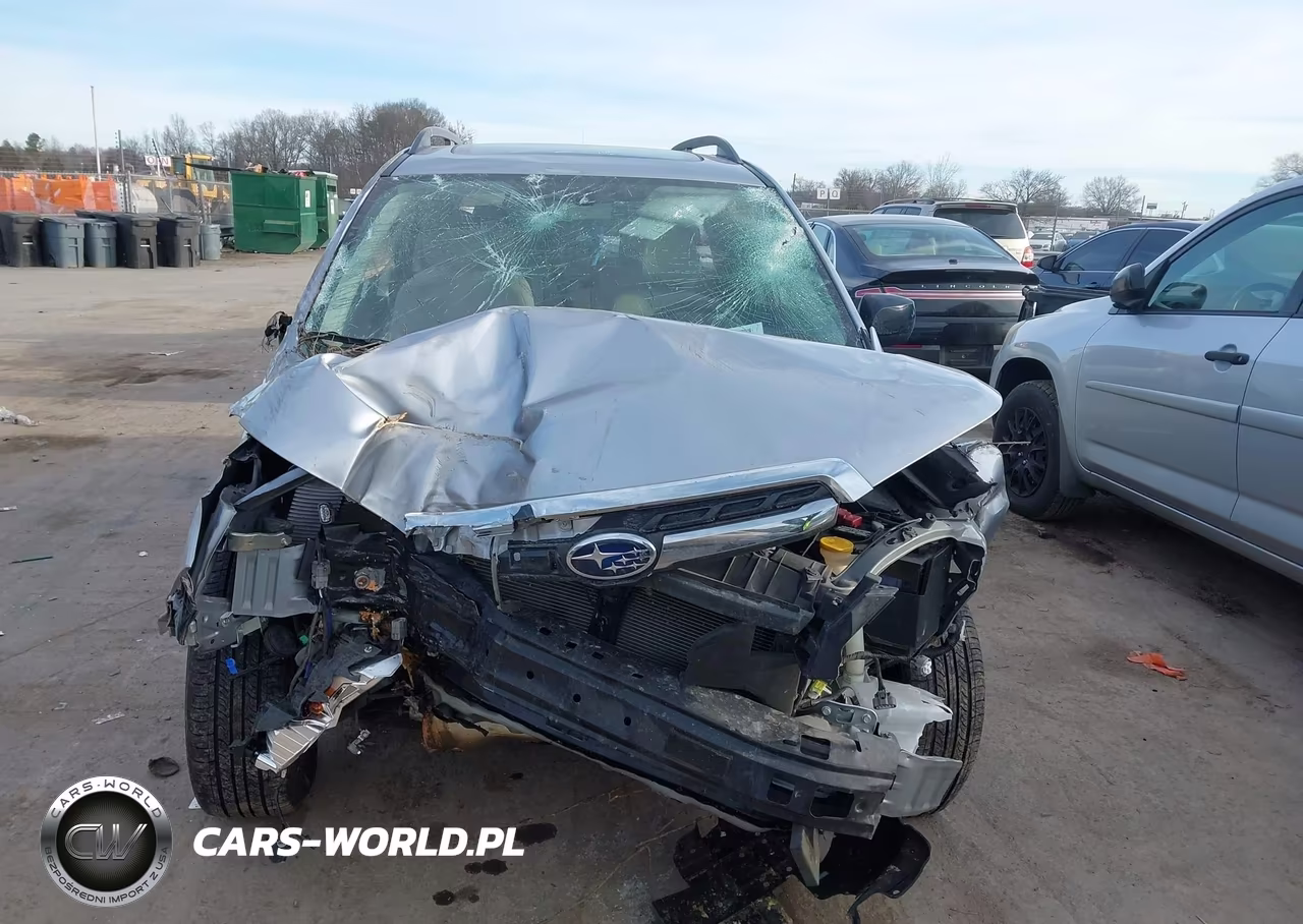 2017 Subaru Forester 2.5I Premium VIN:JF2SJADC3HH552848 - 11