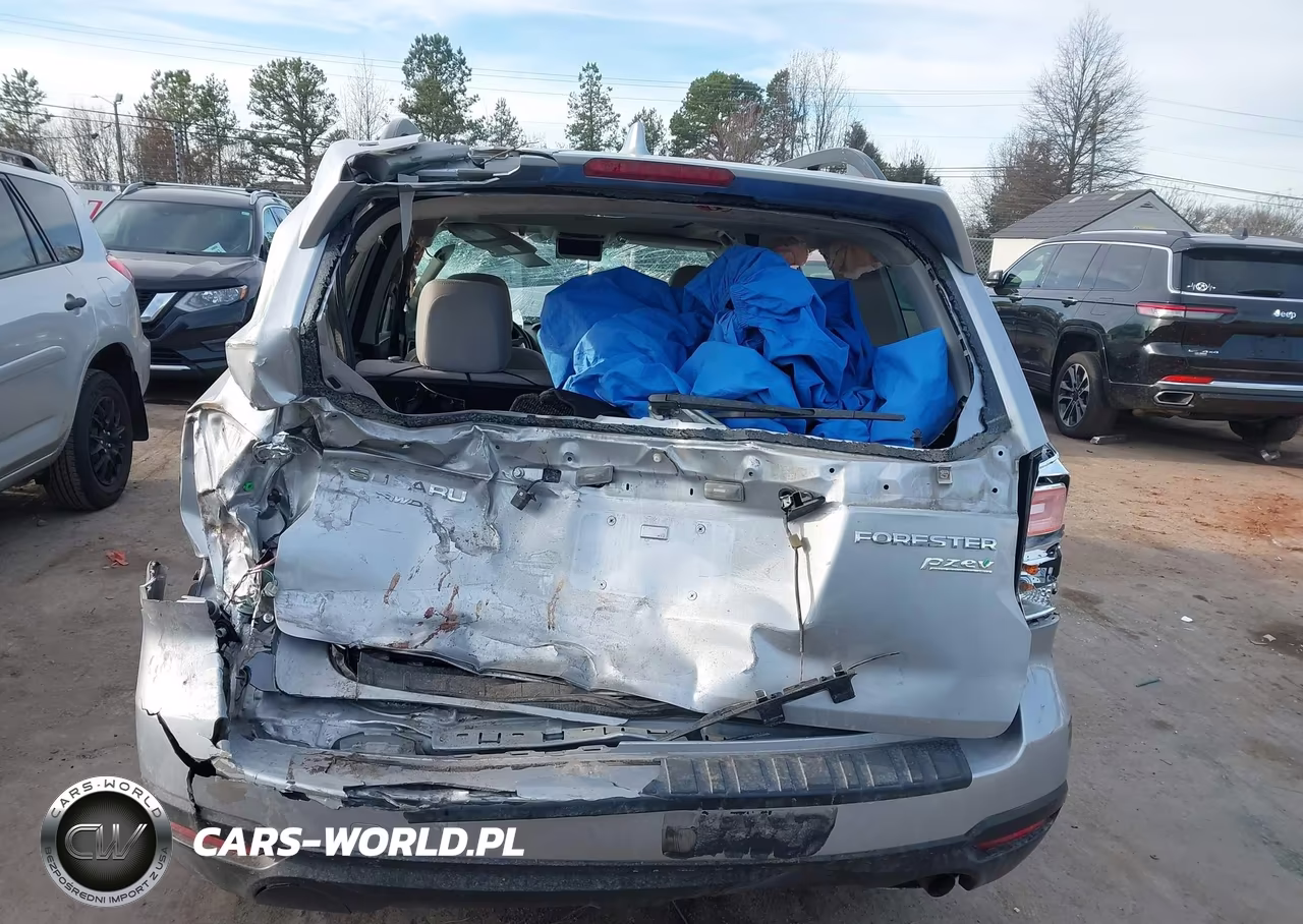 2017 Subaru Forester 2.5I Premium VIN:JF2SJADC3HH552848 - 15
