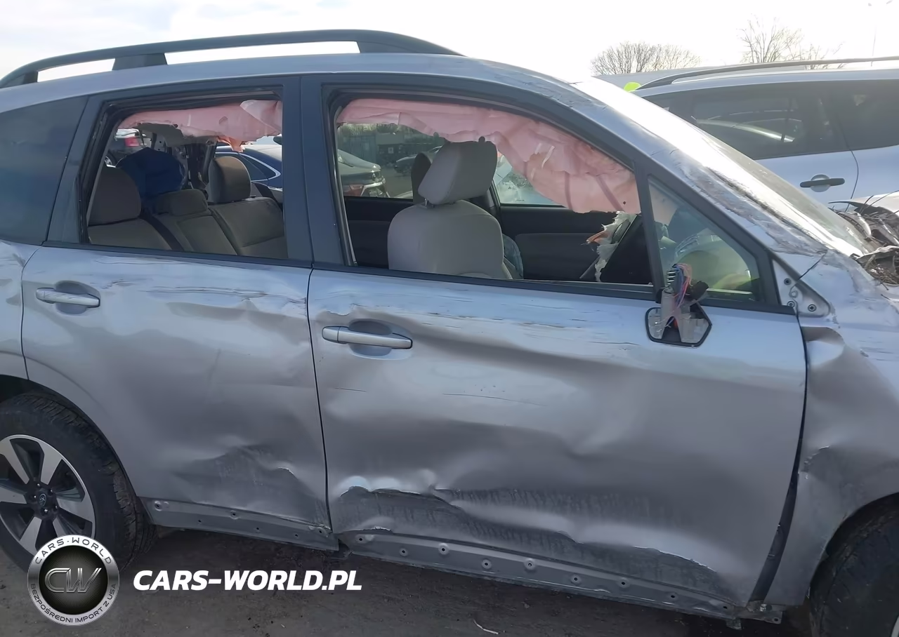 2017 Subaru Forester 2.5I Premium VIN:JF2SJADC3HH552848 - 17