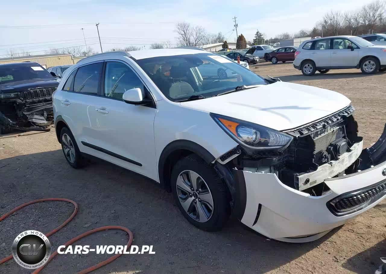 Główne zdjęcie 2019 Kia Niro Lx