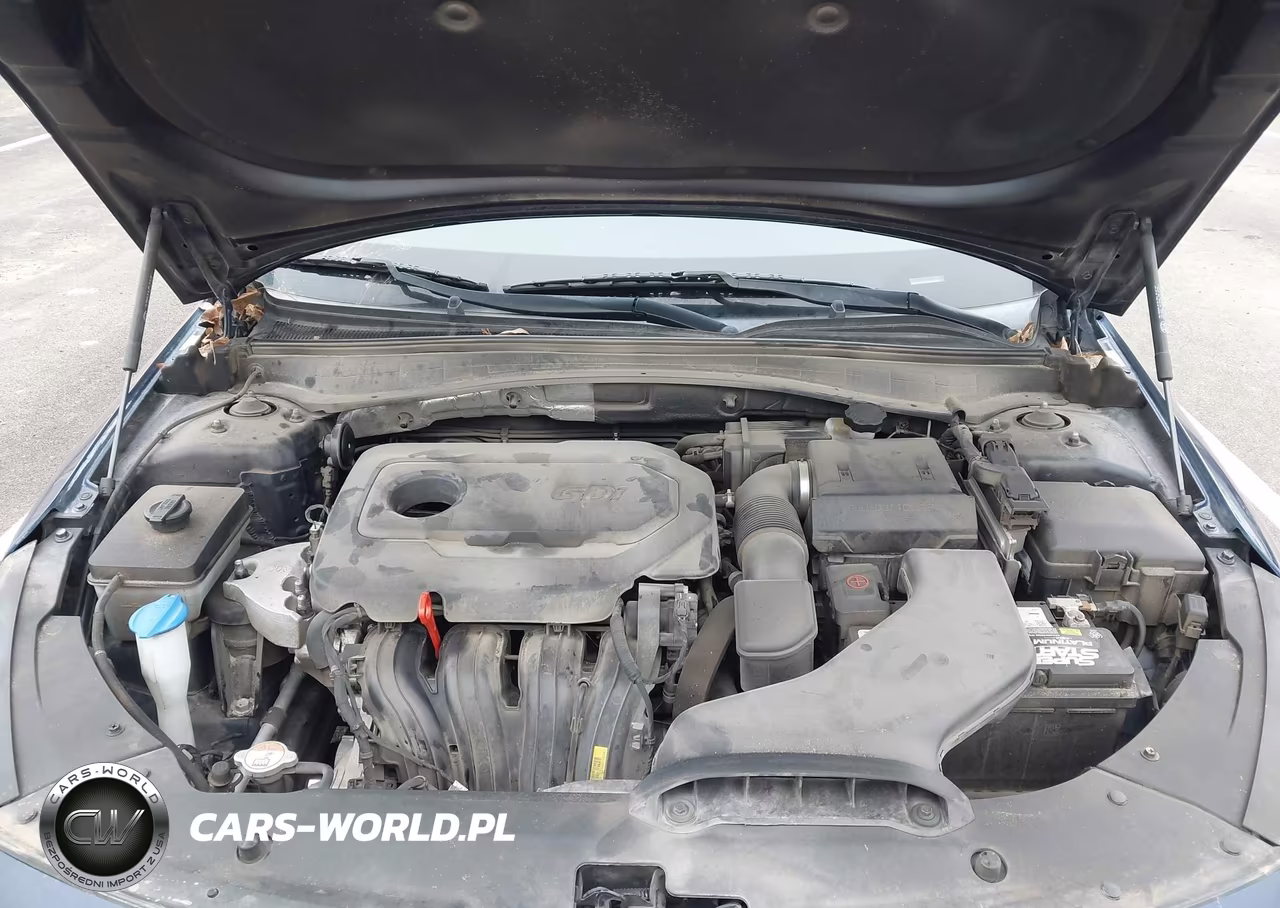 2017 Kia Optima Ex VIN:5XXGU4L34HG136965 - 10