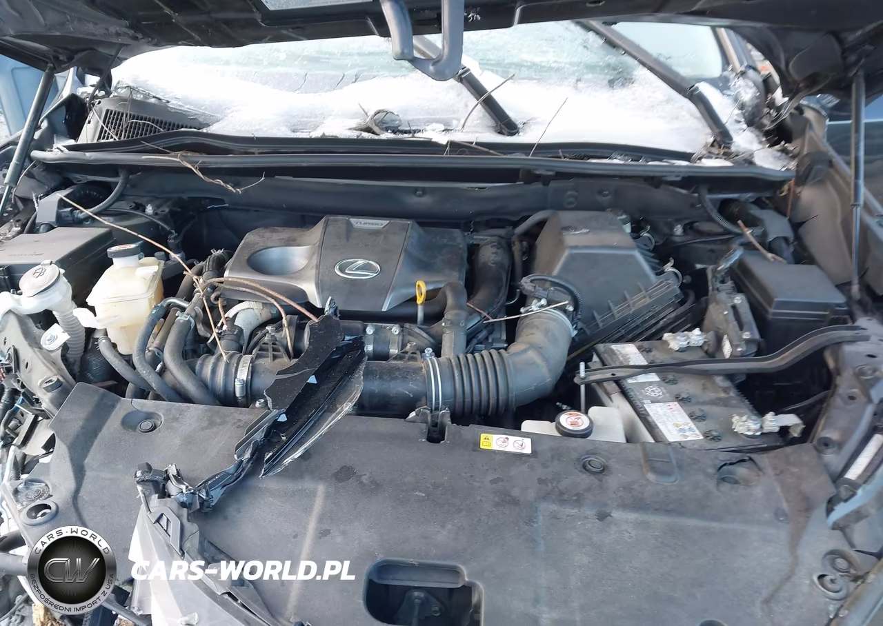 2020 Lexus Nx 300 VIN:JTJDARBZ1L2164734 - 10
