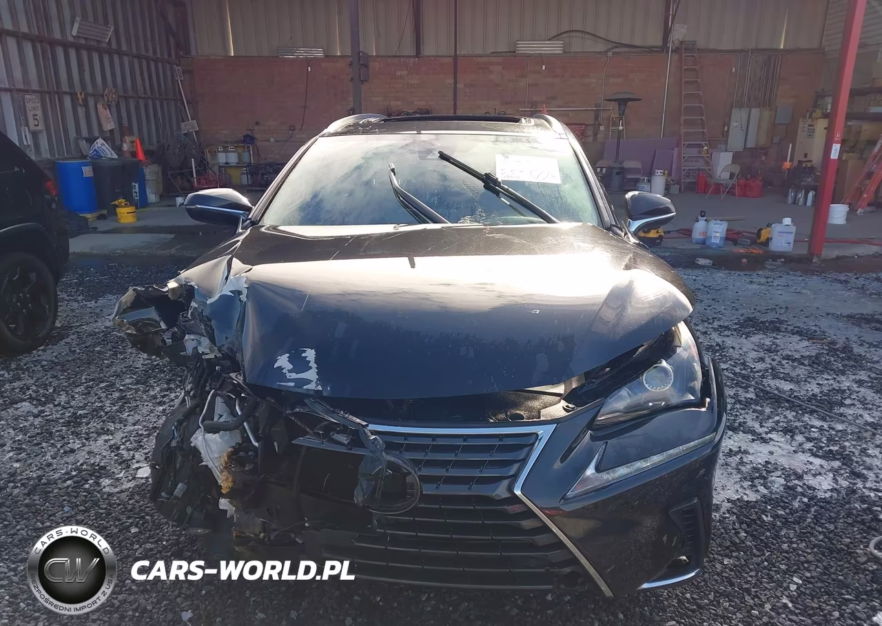 2020 Lexus Nx 300 VIN:JTJDARBZ1L2164734 - 12