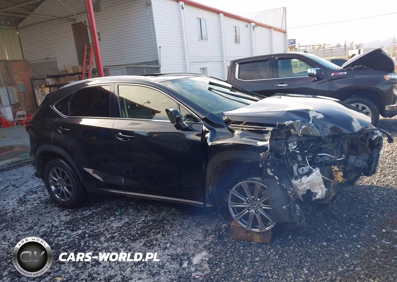 2020 Lexus Nx 300 VIN:JTJDARBZ1L2164734 - 13