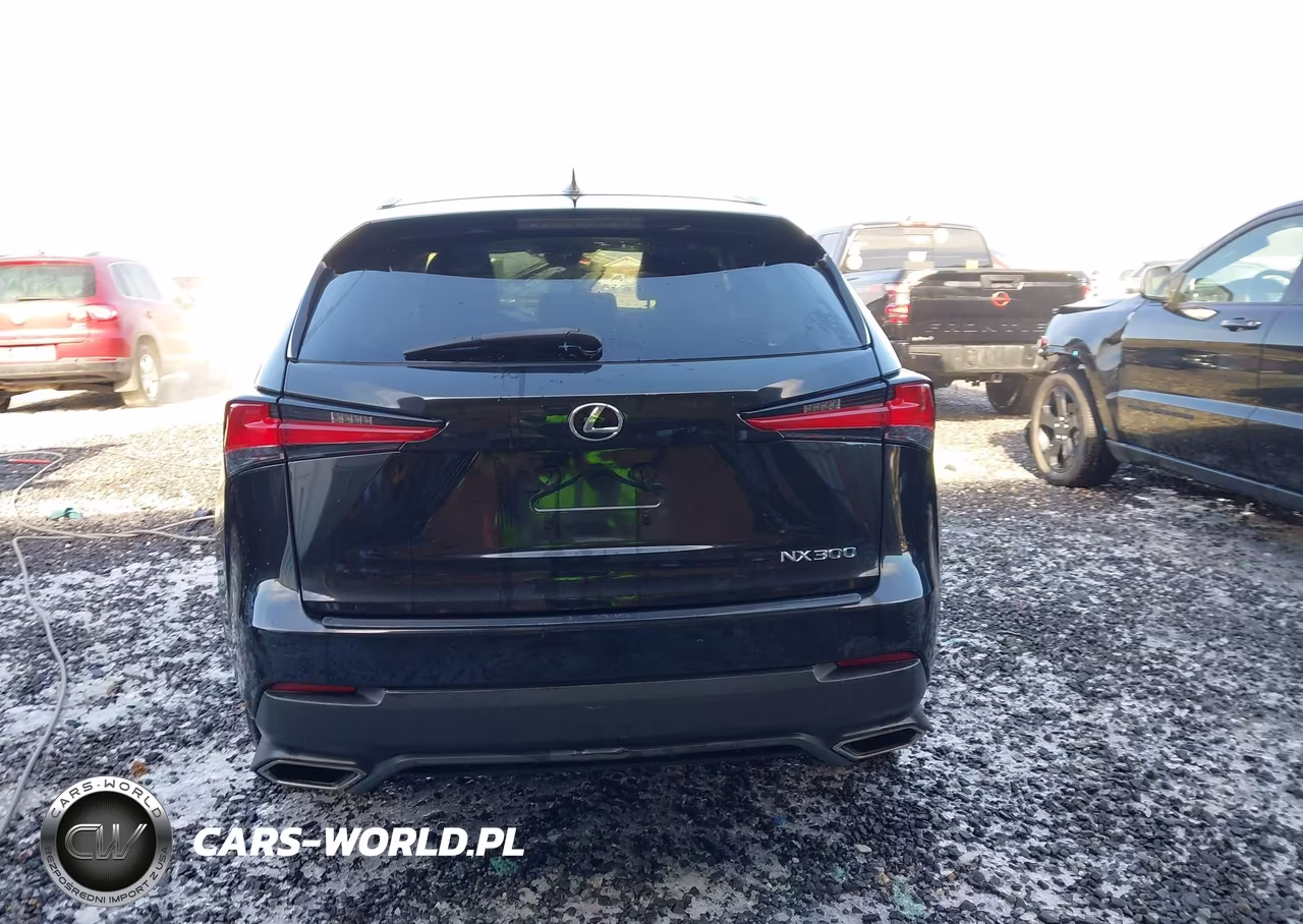 2020 Lexus Nx 300 VIN:JTJDARBZ1L2164734 - 16