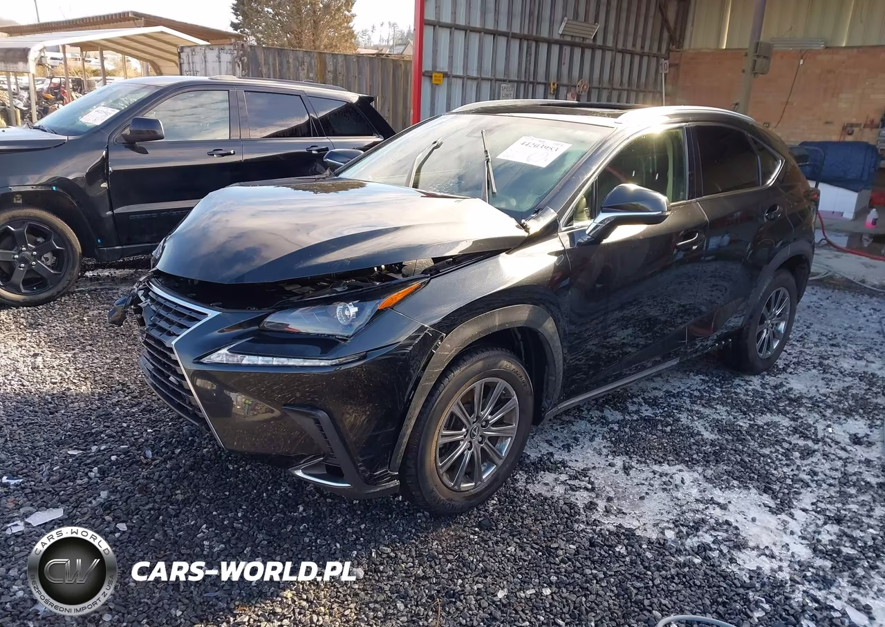 2020 Lexus Nx 300 VIN:JTJDARBZ1L2164734 - 2