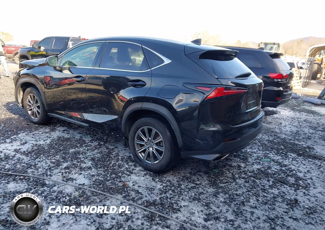 2020 Lexus Nx 300 VIN:JTJDARBZ1L2164734 - 3