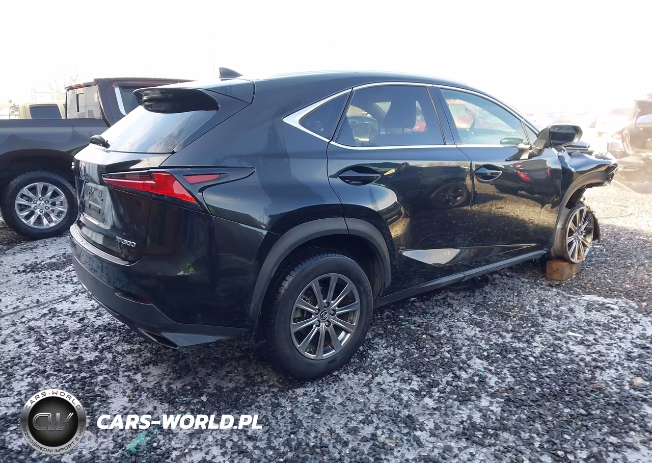 2020 Lexus Nx 300 VIN:JTJDARBZ1L2164734 - 4