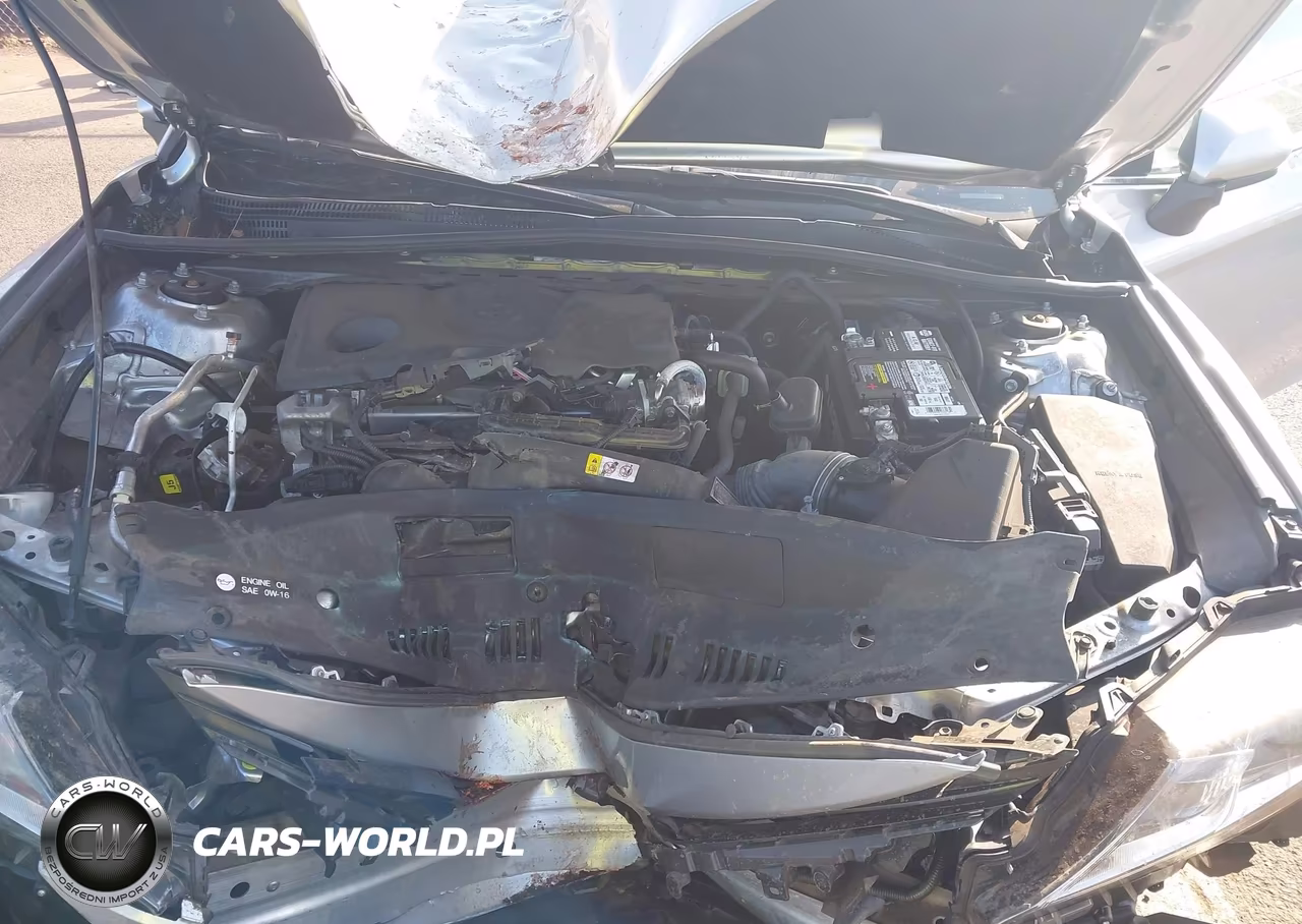 2023 Toyota Camry Le VIN:4T1C11AK4PU763573 - 10