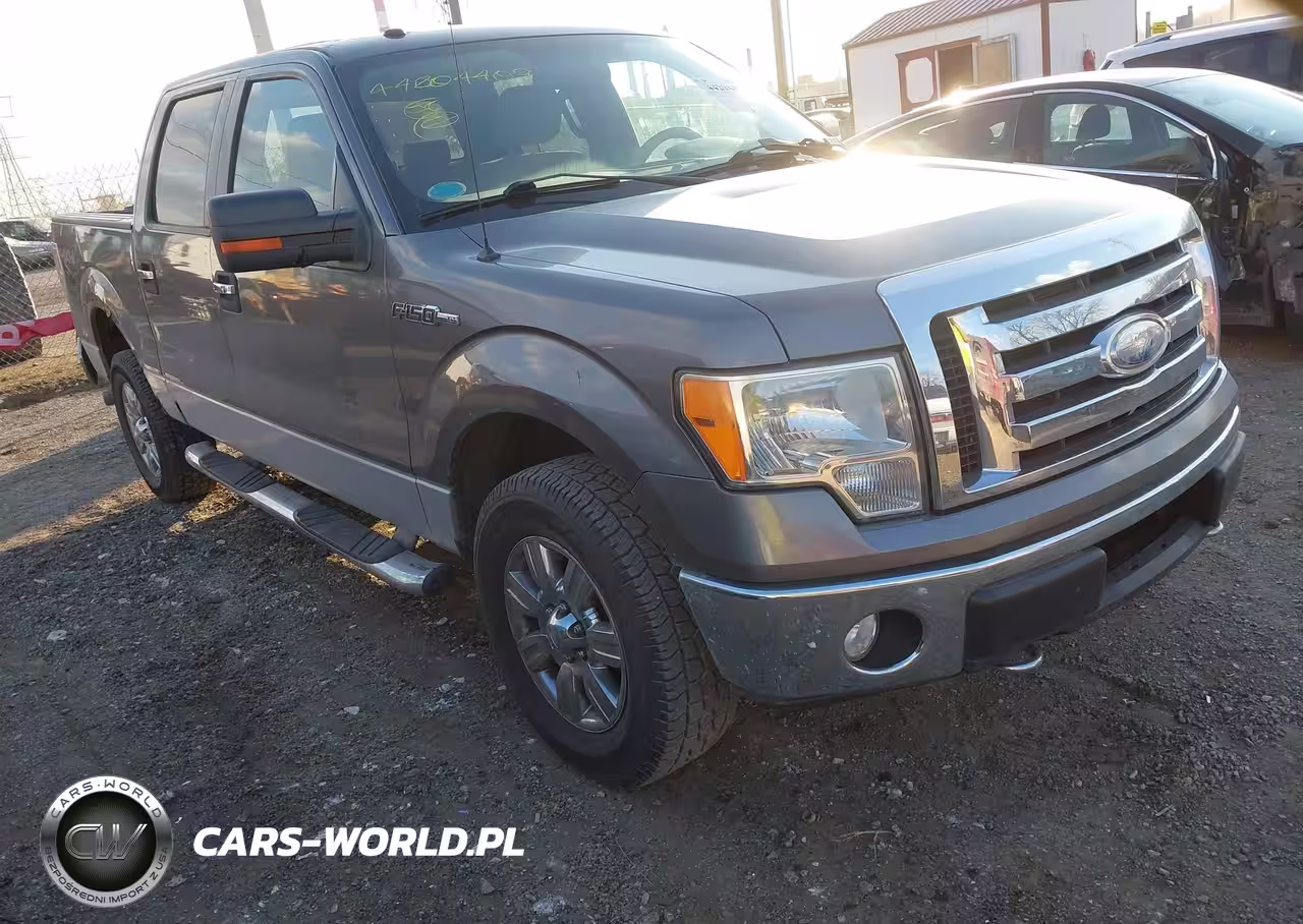 2009 Ford F-150 Fx4-King Ranch-Lariat-Platinum-Xl-Xlt