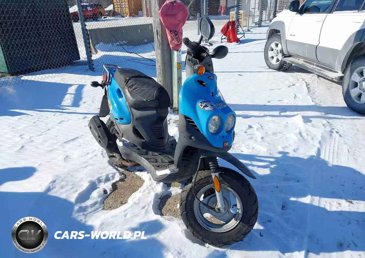 2008 Genuine Scooter Co. Roughhouse 50