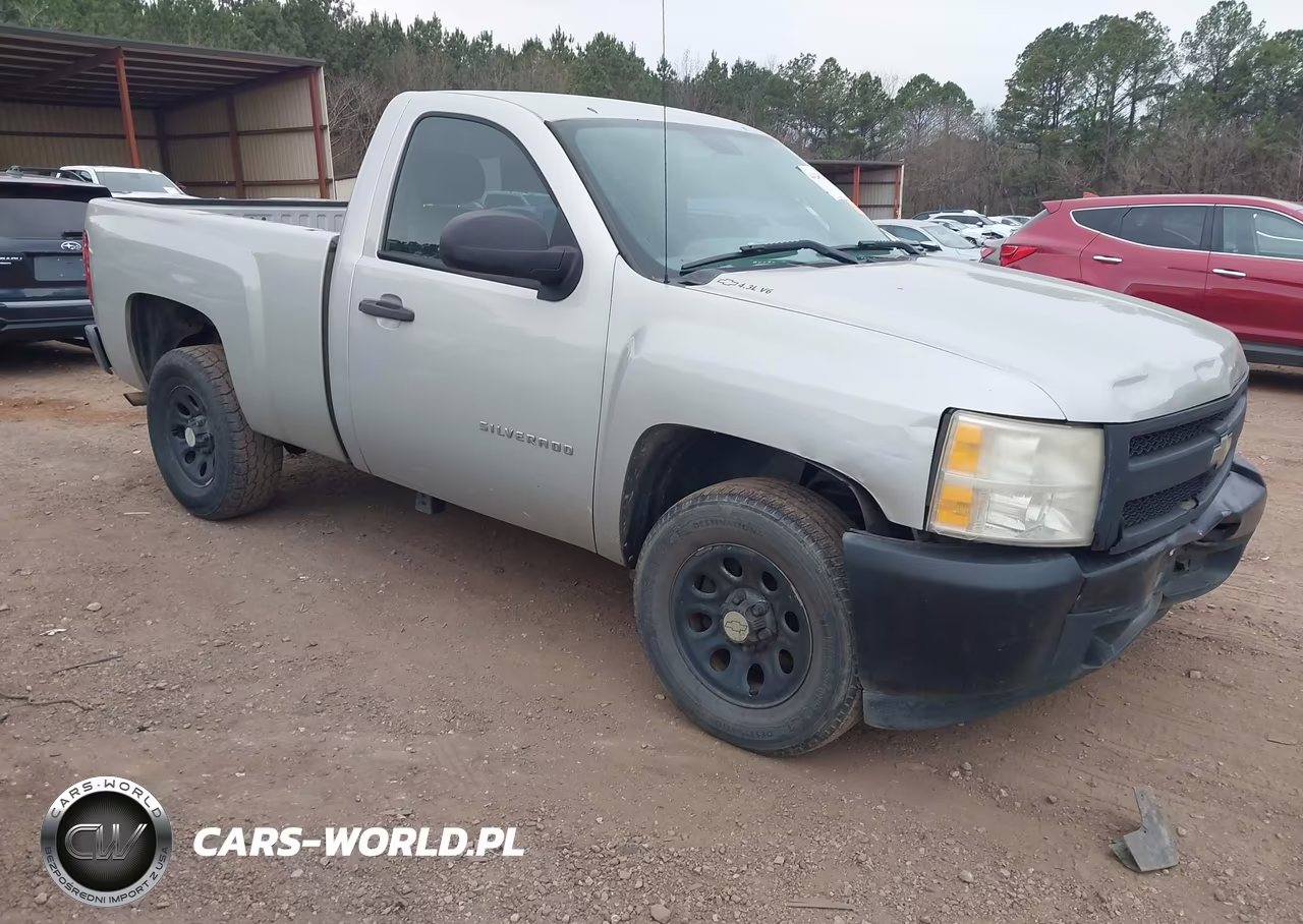 2010 Chevrolet Silverado 1500 Work Truck