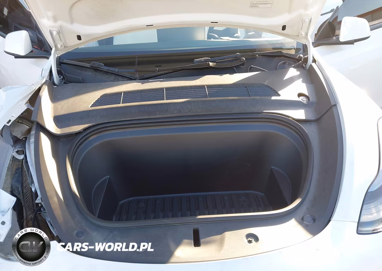 2024 Tesla Model Y Performance Dual Motor All-Wheel Drive VIN:7SAYGDEF0RF072790 - 10