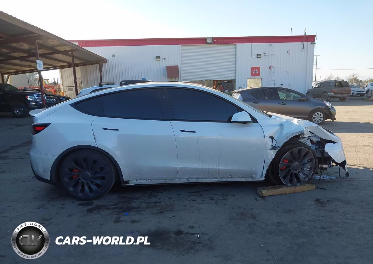 2024 Tesla Model Y Performance Dual Motor All-Wheel Drive VIN:7SAYGDEF0RF072790 - 12
