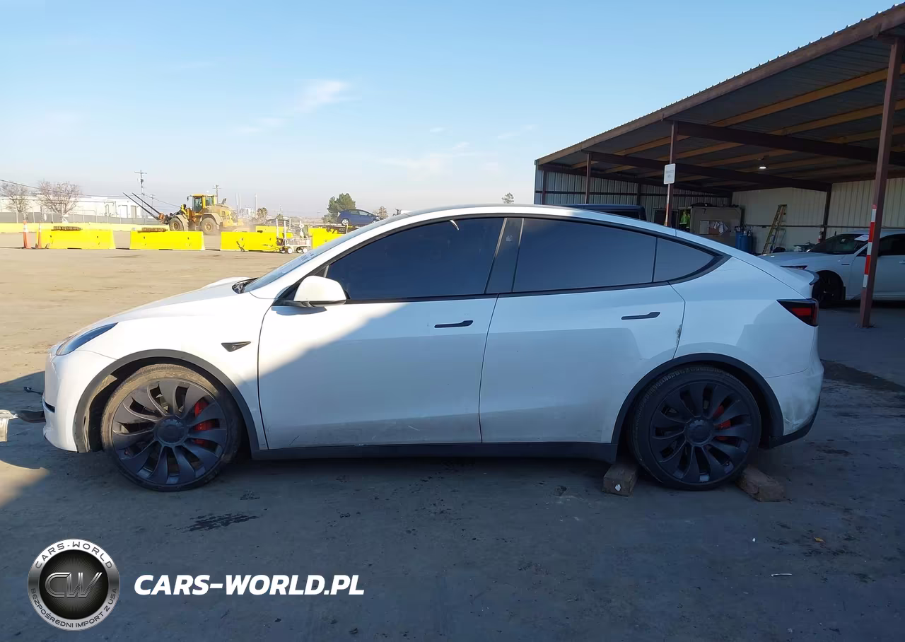 2024 Tesla Model Y Performance Dual Motor All-Wheel Drive VIN:7SAYGDEF0RF072790 - 13