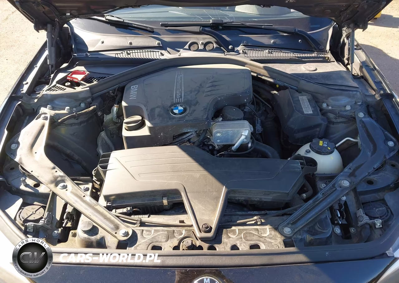 2016 BMW 228I VIN:WBA1K9C51GV321890 - 10