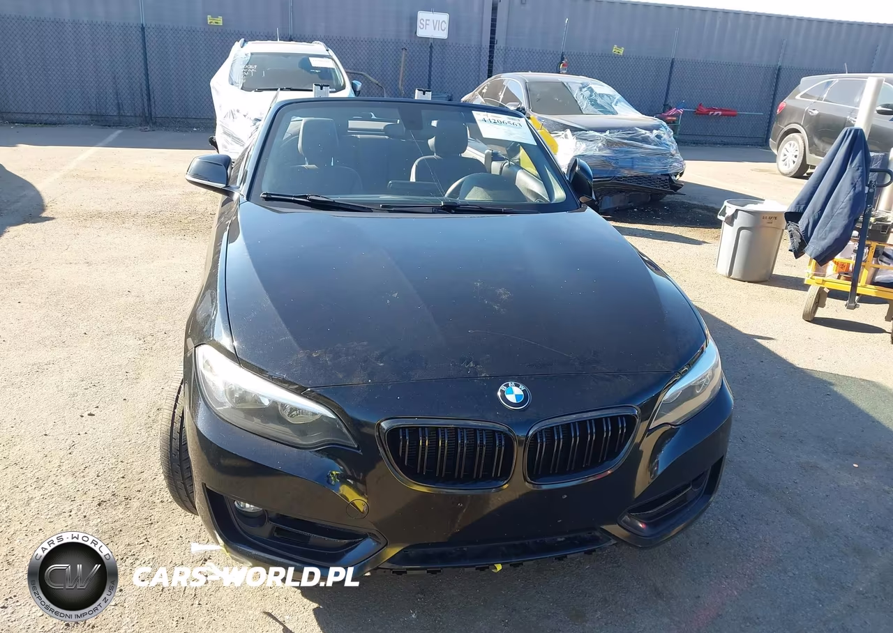2016 BMW 228I VIN:WBA1K9C51GV321890 - 12