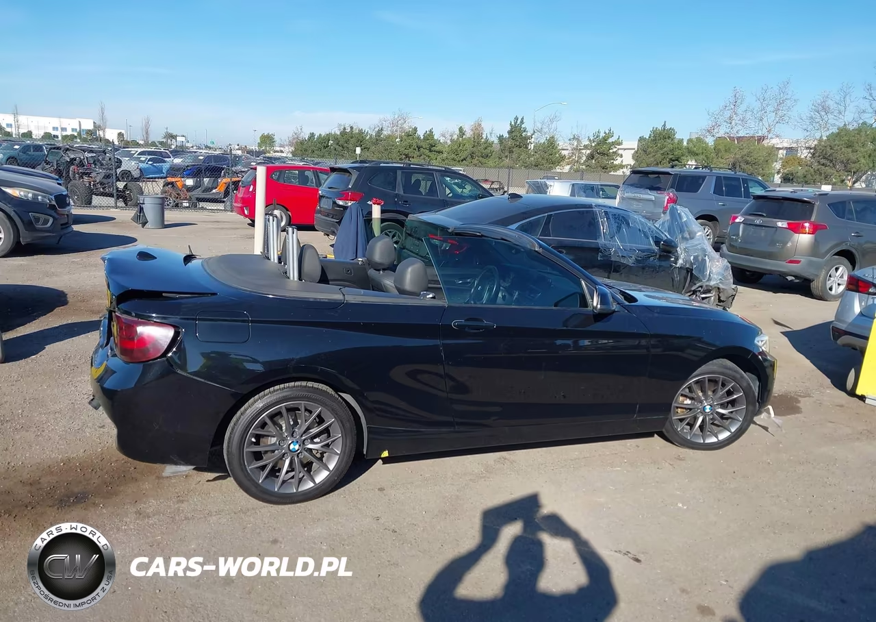2016 BMW 228I VIN:WBA1K9C51GV321890 - 13
