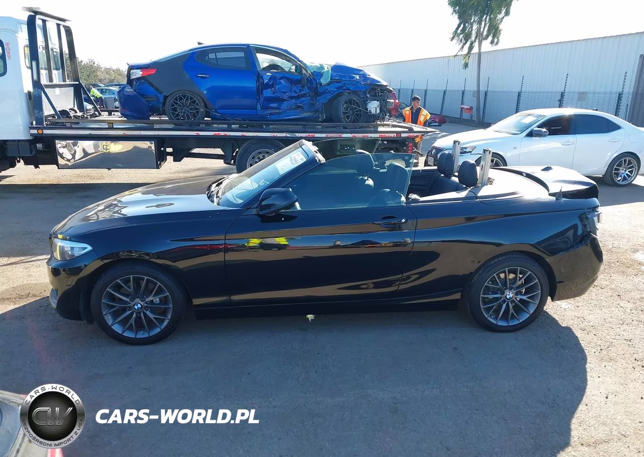 2016 BMW 228I VIN:WBA1K9C51GV321890 - 14