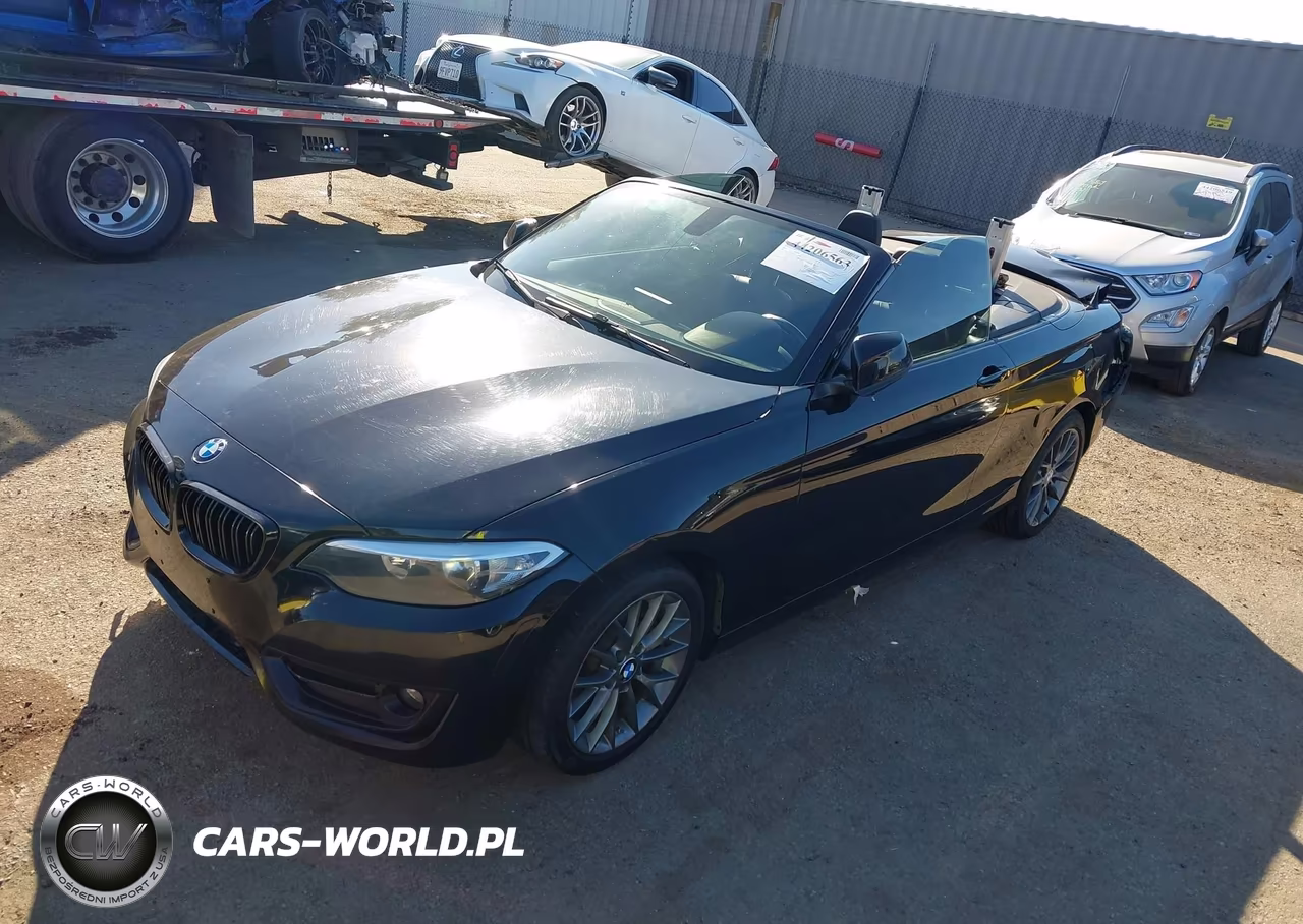 2016 BMW 228I VIN:WBA1K9C51GV321890 - 2