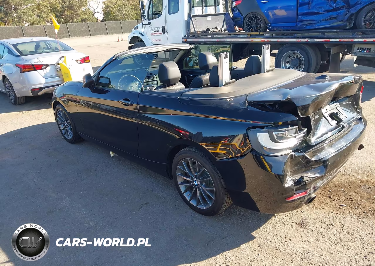 2016 BMW 228I VIN:WBA1K9C51GV321890 - 3