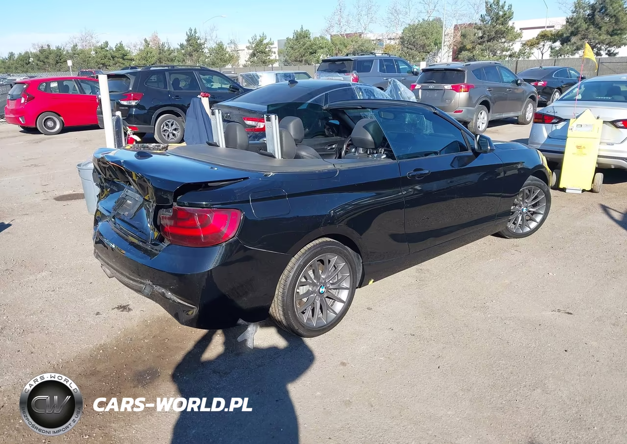 2016 BMW 228I VIN:WBA1K9C51GV321890 - 4