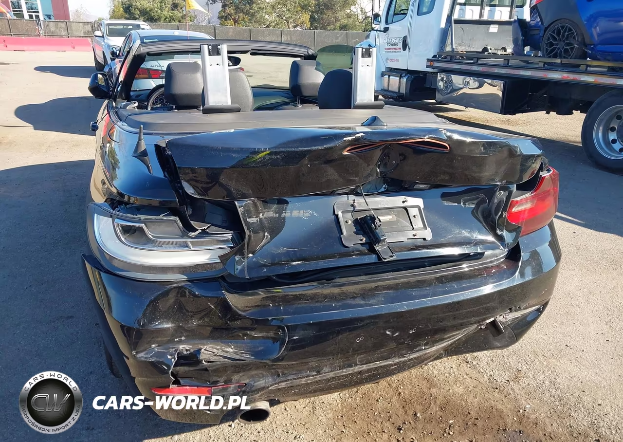 2016 BMW 228I VIN:WBA1K9C51GV321890 - 6