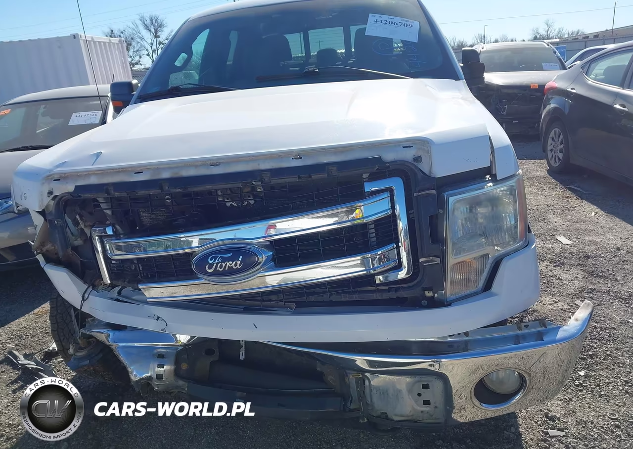 2014 Ford F-150 Xlt VIN:1FTFW1EF6EKF93919 - 12