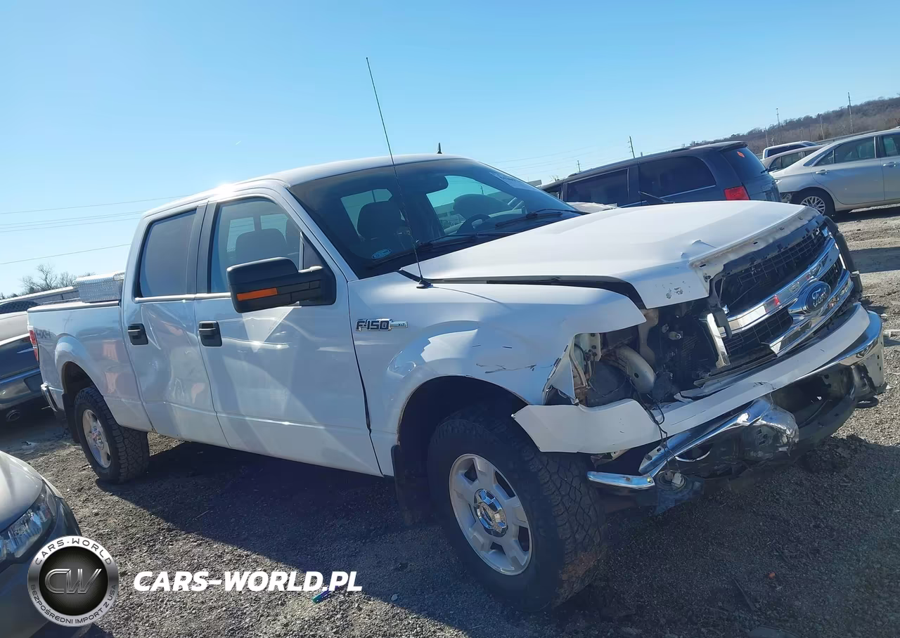 2014 Ford F-150 Xlt VIN:1FTFW1EF6EKF93919 - 13