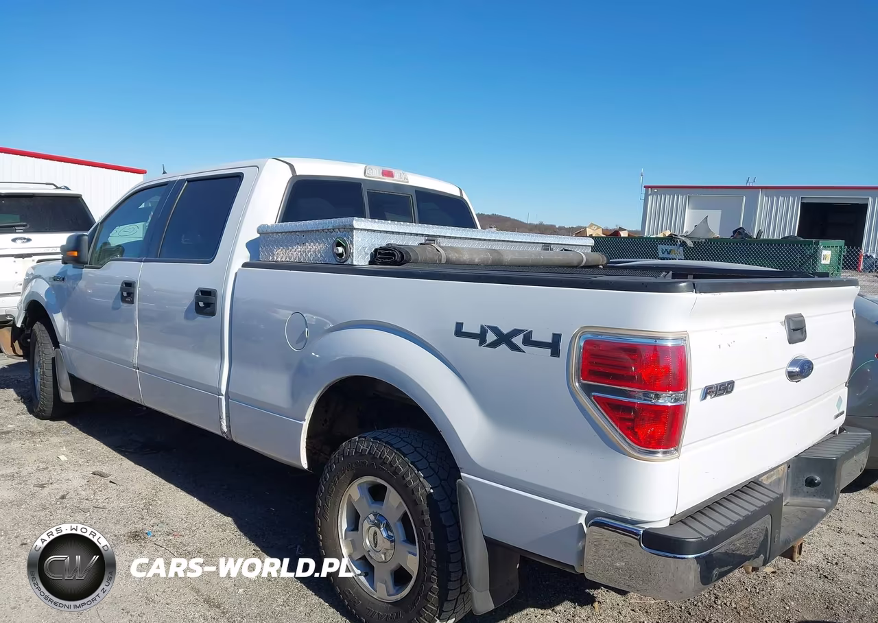 2014 Ford F-150 Xlt VIN:1FTFW1EF6EKF93919 - 3