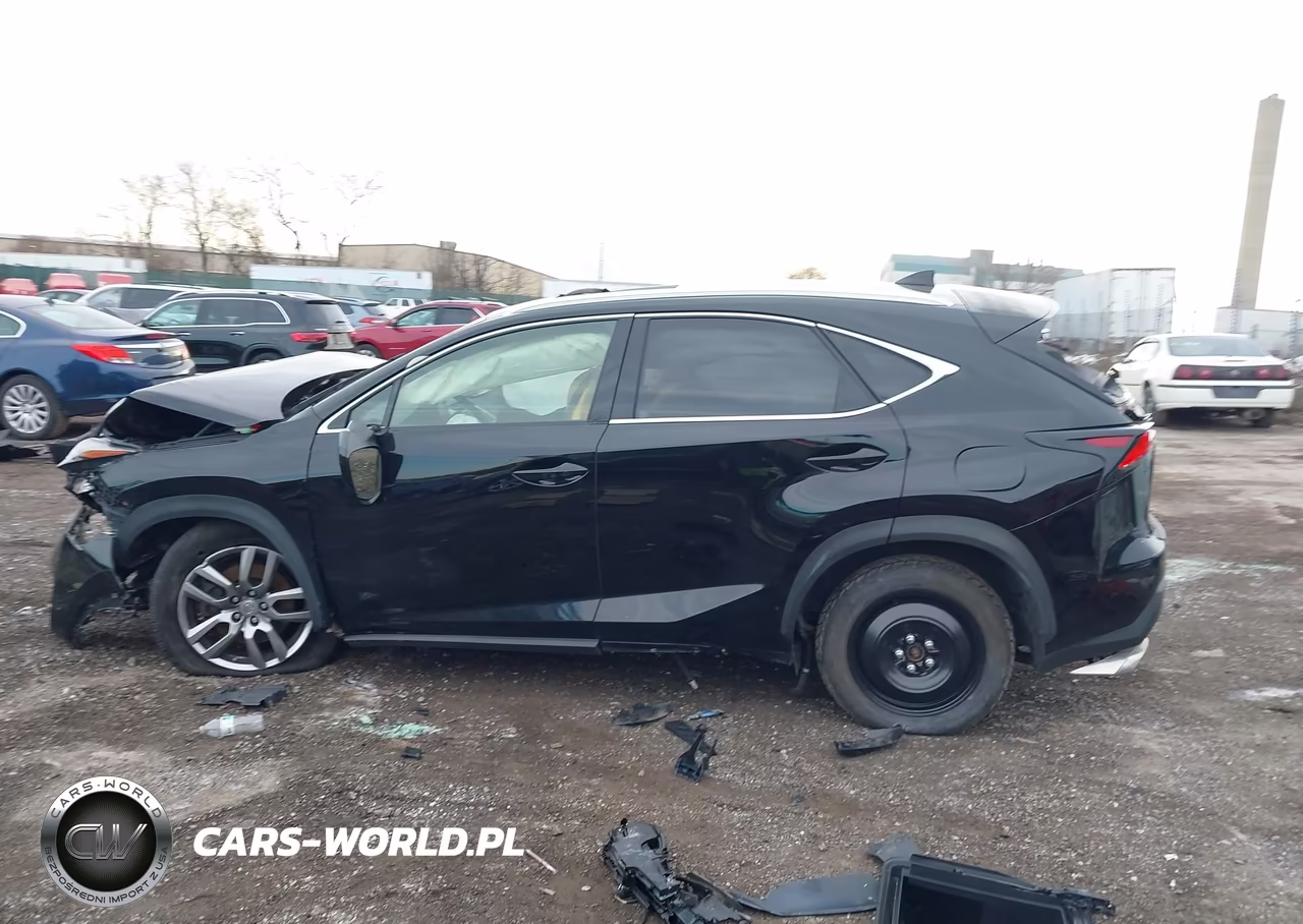 2015 Lexus Nx 200T VIN:JTJBARBZ5F2032250 - 14