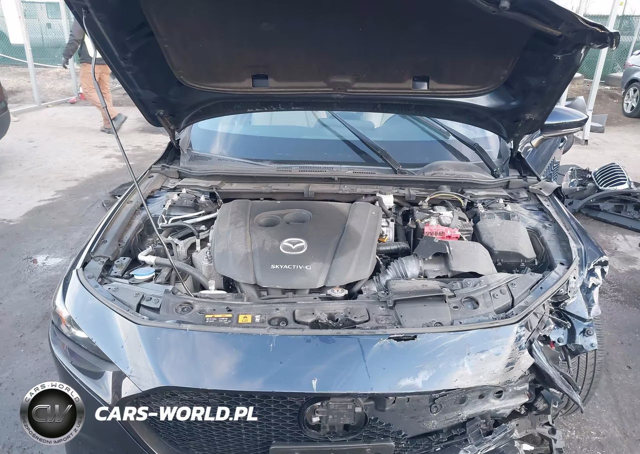 2019 Mazda Mazda3 VIN:JM1BPBJMXK1141043 - 10
