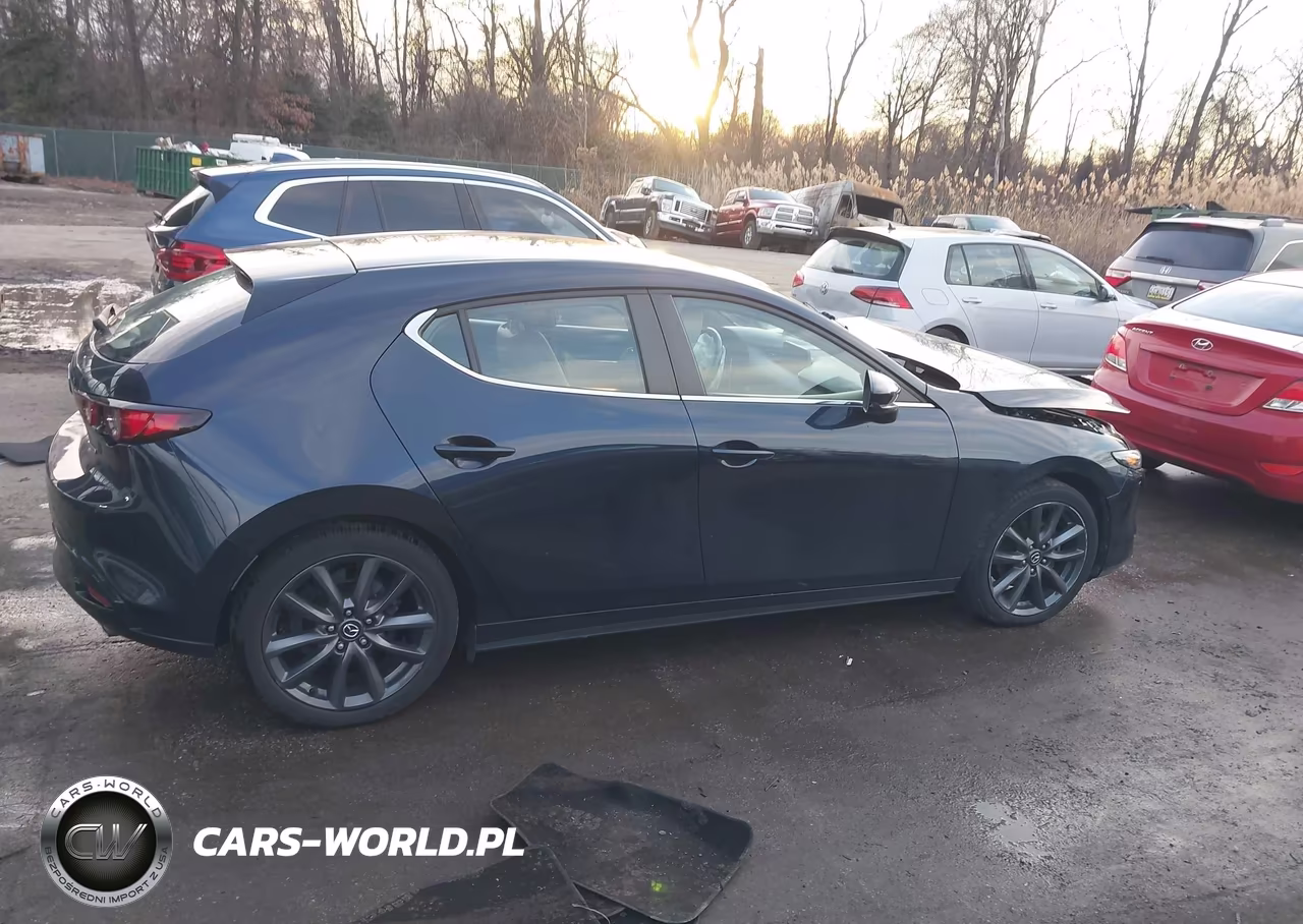 2019 Mazda Mazda3 VIN:JM1BPBJMXK1141043 - 13