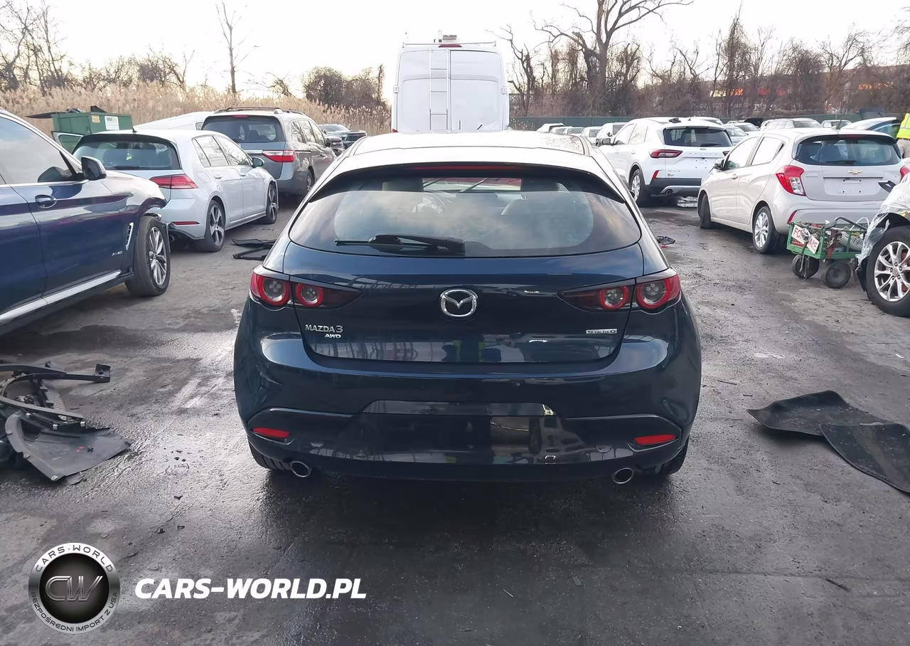 2019 Mazda Mazda3 VIN:JM1BPBJMXK1141043 - 16