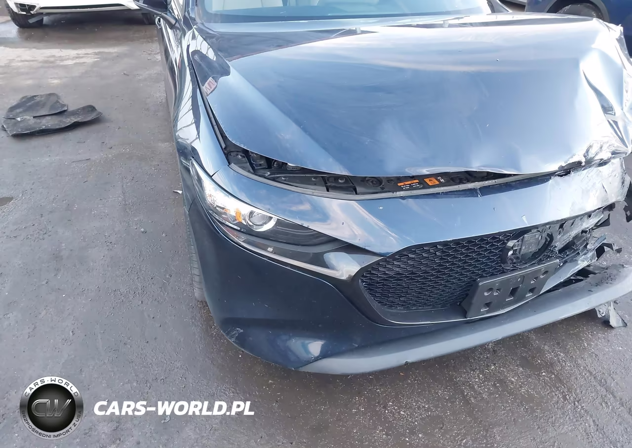 2019 Mazda Mazda3 VIN:JM1BPBJMXK1141043 - 17