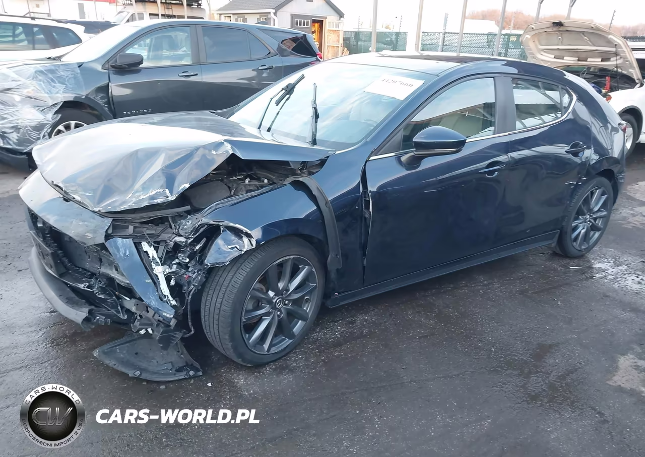 2019 Mazda Mazda3 VIN:JM1BPBJMXK1141043 - 2