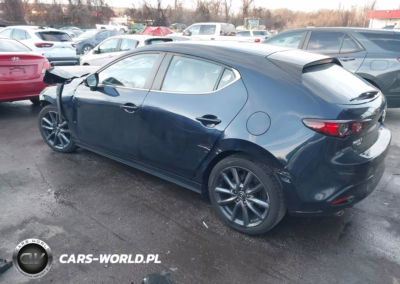 2019 Mazda Mazda3 VIN:JM1BPBJMXK1141043 - 3