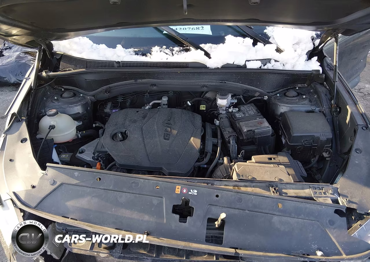 2023 Hyundai Santa Fe Sel VIN:5NMS2DAJXPH527104 - 10