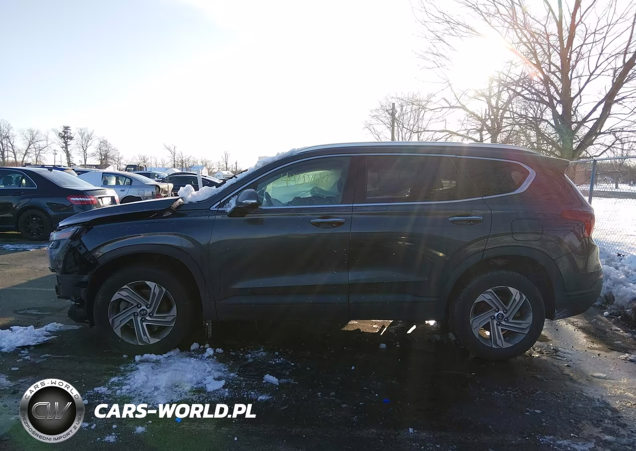2023 Hyundai Santa Fe Sel VIN:5NMS2DAJXPH527104 - 14