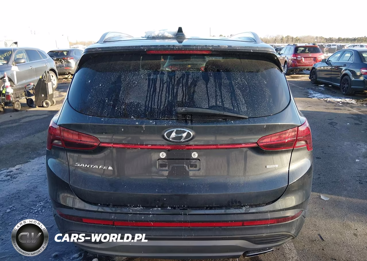 2023 Hyundai Santa Fe Sel VIN:5NMS2DAJXPH527104 - 16