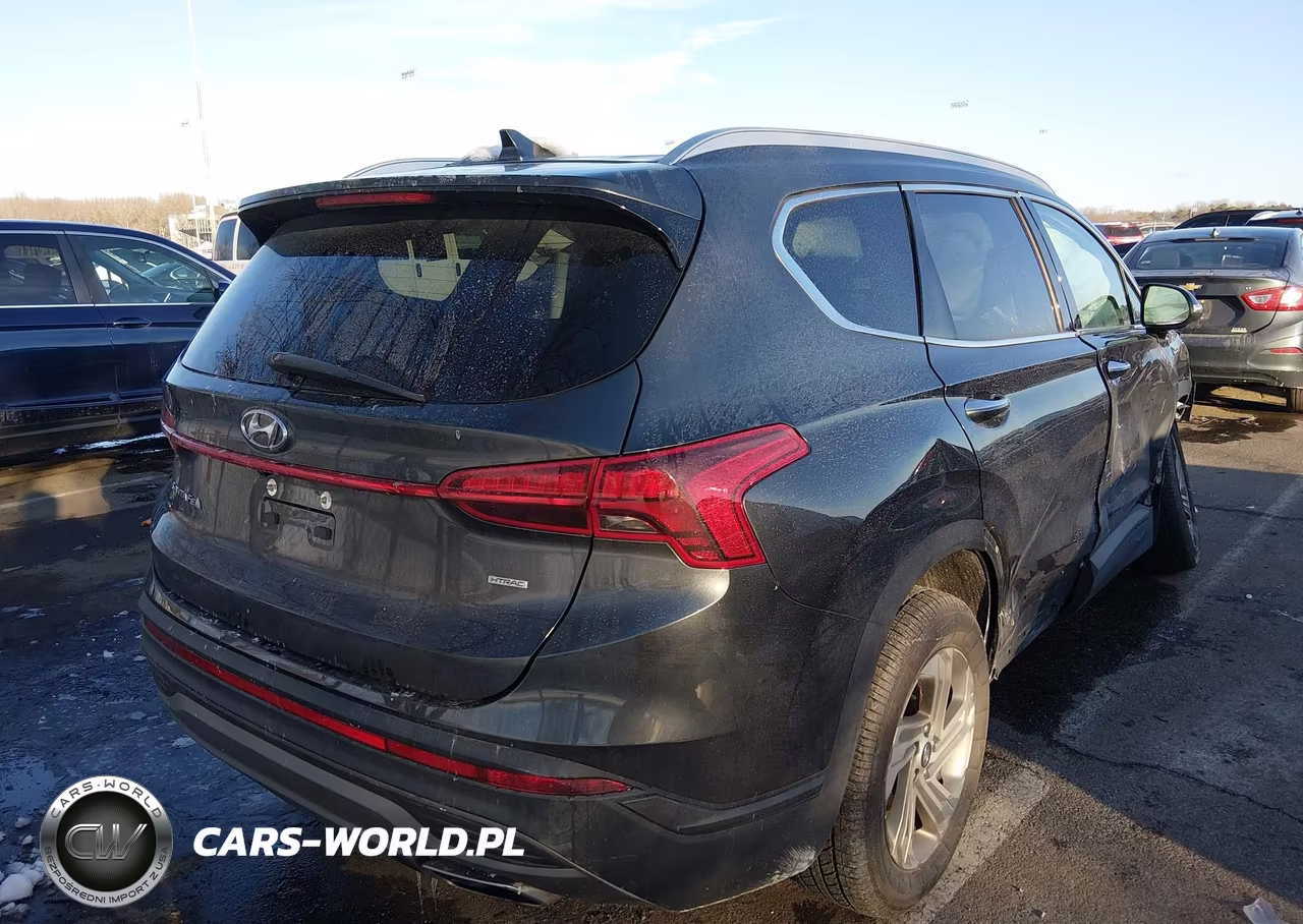 2023 Hyundai Santa Fe Sel VIN:5NMS2DAJXPH527104 - 4