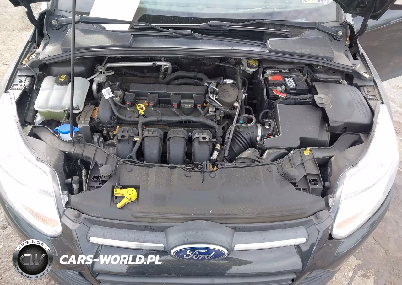2014 Ford Focus Se VIN:1FADP3F25EL285197 - 10